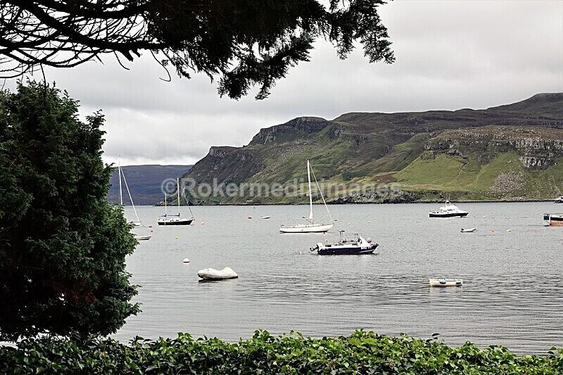 DSC07900 - SEPT 2020 STAYCATION