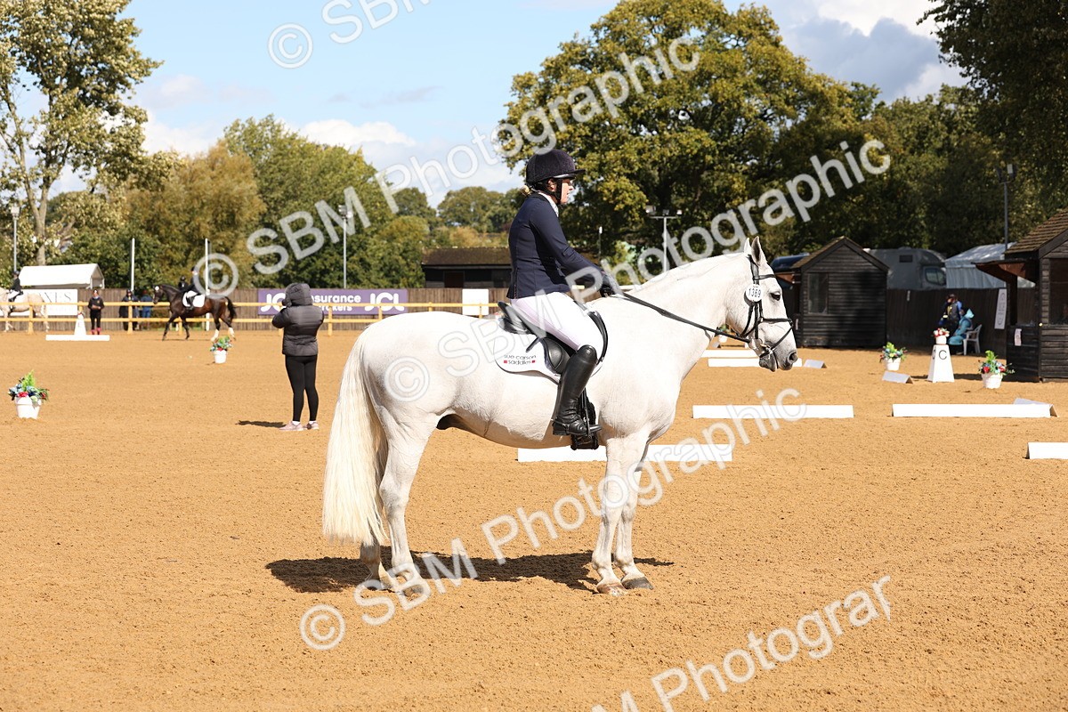 SBM_19603 - D10 - Small Tour Championship Prelim 2