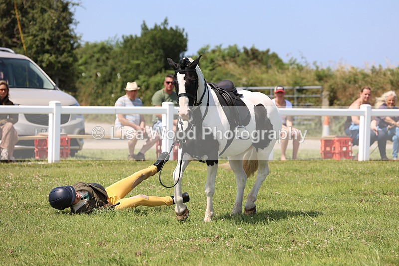 JPP_3107 - Class 22: Working Hunter 70cm