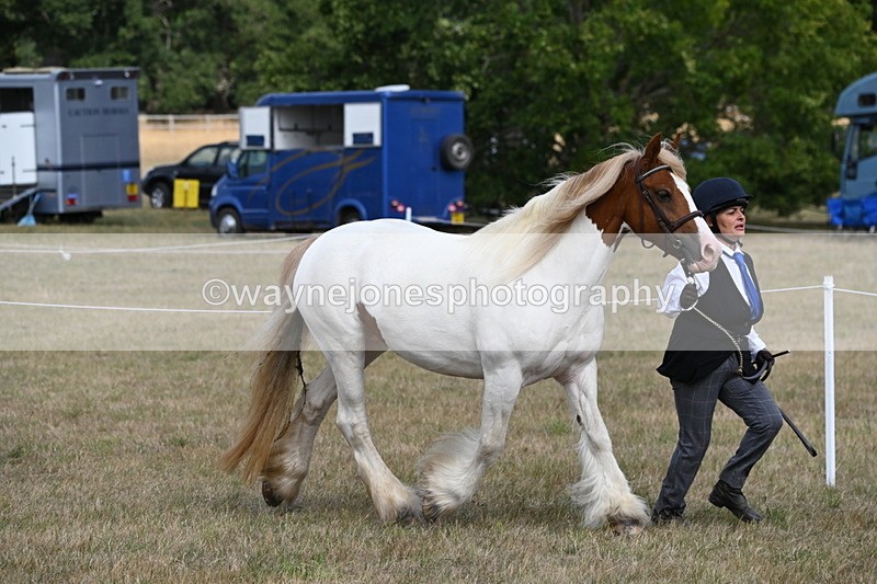 WJ6_6533 - Class 20 In-hand Cob