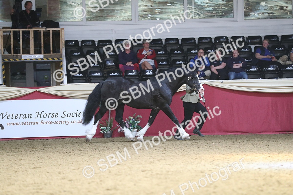 SBM_15249 - Class 501 M&M IH Supreme Final