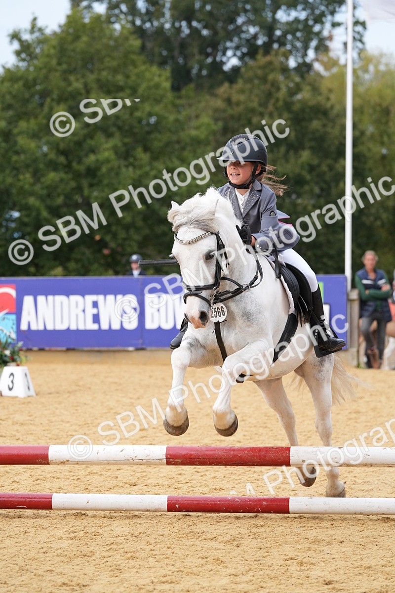 SBM_70646 - J3 - Mini Tour Junior Pony 40cm Championship