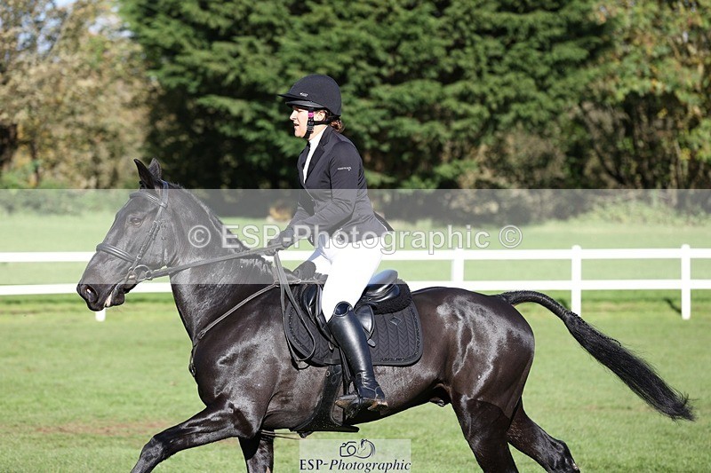 231022-143409-28214 - 505-MR.DARCY-Eleanor.Newcombe-TrotUp+SJ