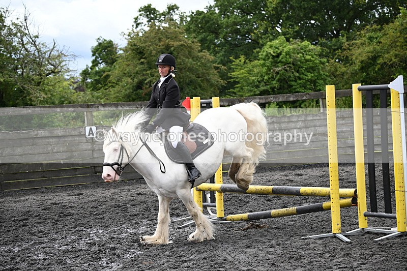WJ6_0230 - Class 13 Novice 60cm