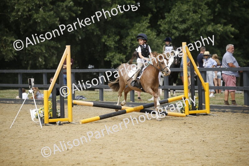 20250622-4612 - 50cm