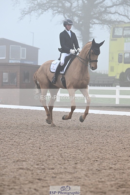 240217A-131518-02790 - 271-Tom.Carter-Rubin.Regal