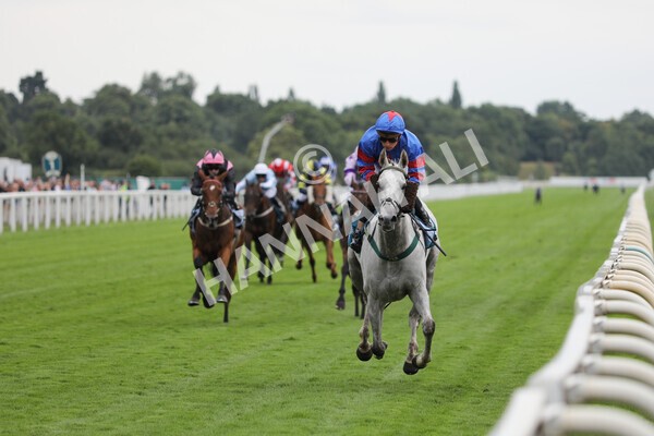 yr23072022r5-26 - Race 5 4.25pm Sky Bet UK's No1 Betting App Stakes