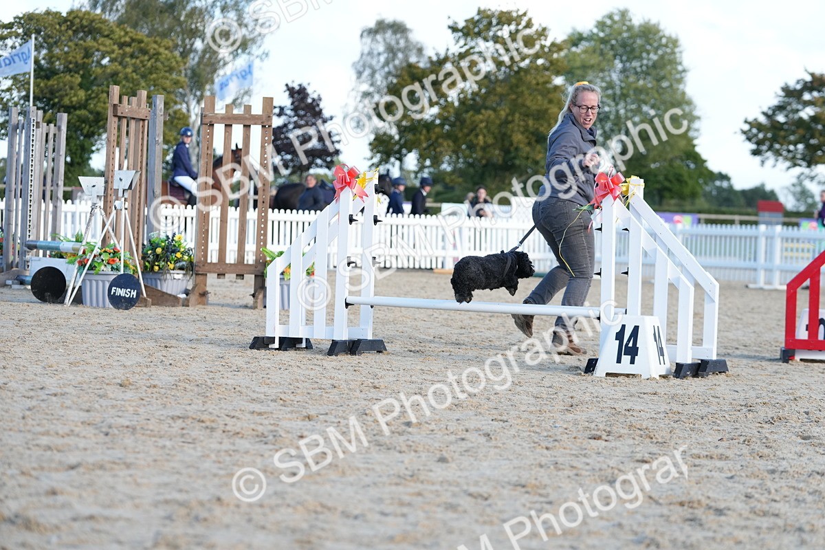 SBM_29017 - J43 - Horse & Hound Open 50cm