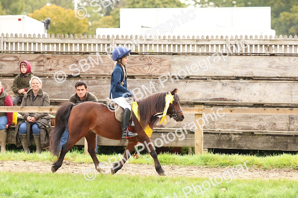 SBM_59784 - Start Supreme Championship