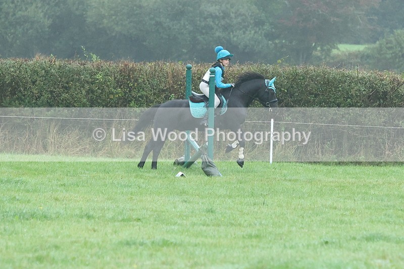 JPP_5007 - Class 1: 65cm : Showjumping