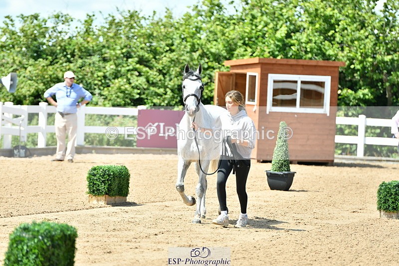 230719A-120535-00091 - Trot Up 12pm to 1pm