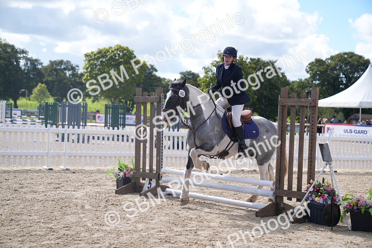 SBM_04113 - J34 Veteran 50cm Championship