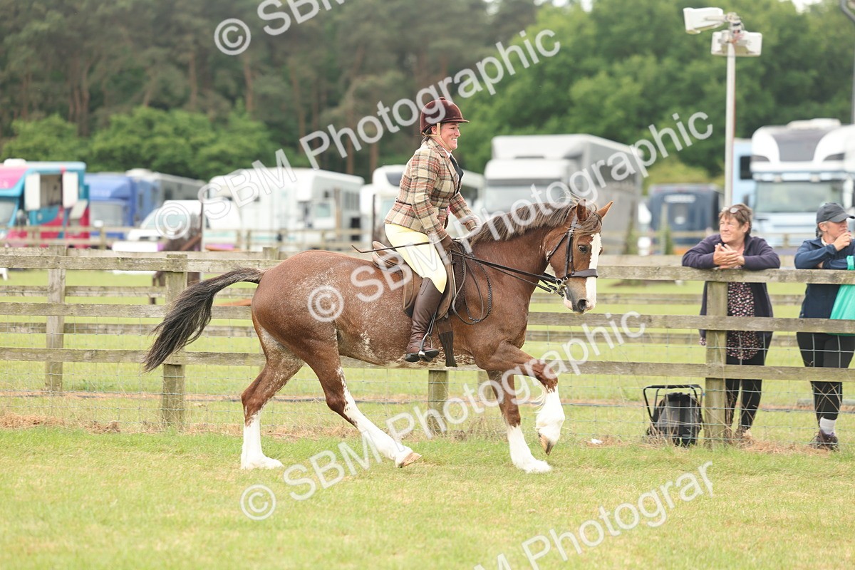 SBM_07277 - Class 76-77 - Ridden M&M Welsh Ponies
