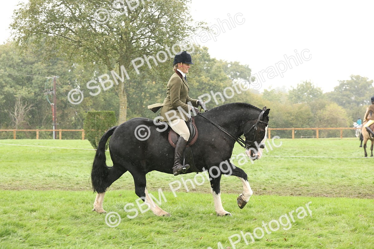 SBM_69807 - S69 - Show Cob Ridden