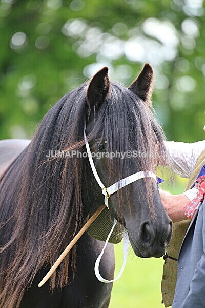 SIAL2759 - Ring 3 and 4