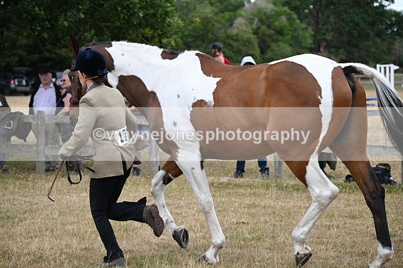 WJ6_8150 - Class 10 Coloured in Hand