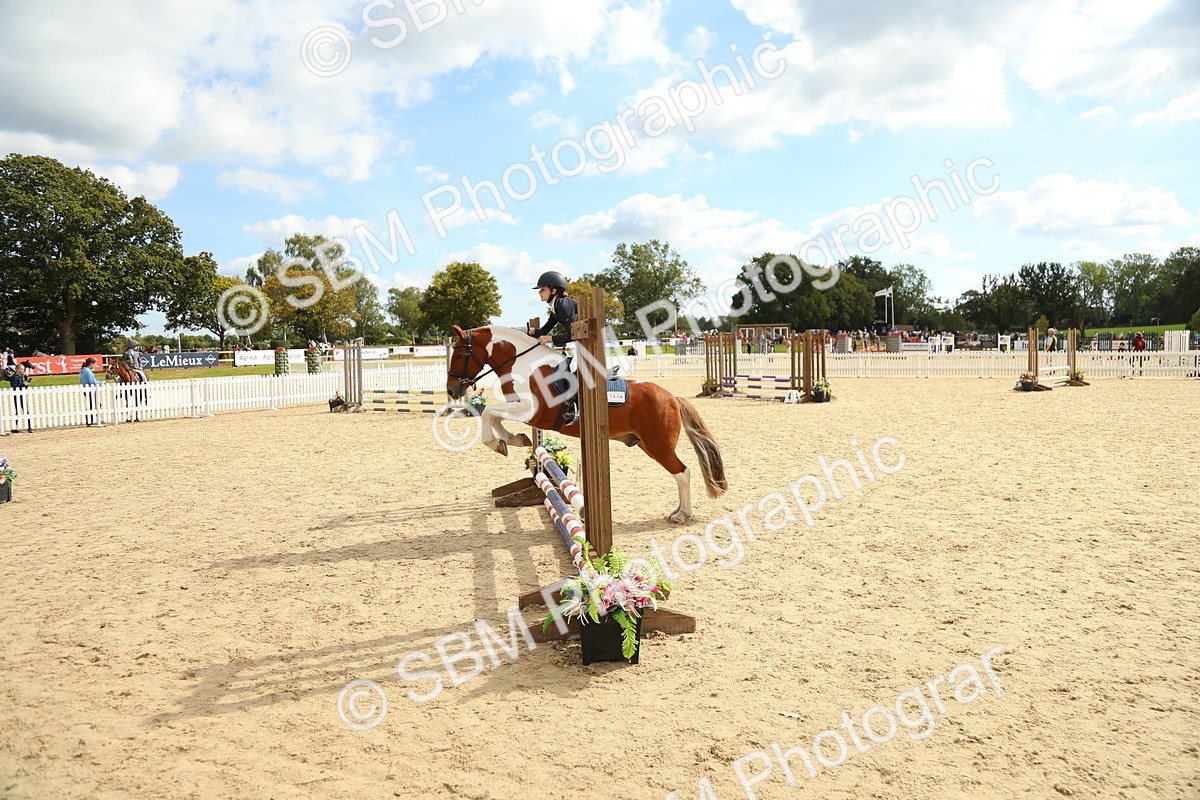 SBM_46450 - J7 - Junior Pony 60cm Championship