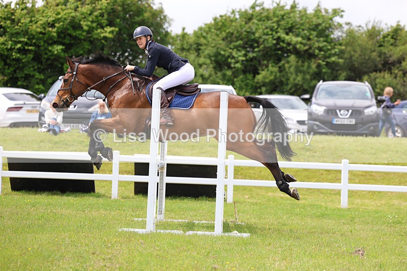 3E7A7286 - Class 13: Senior British Novice/90cm open