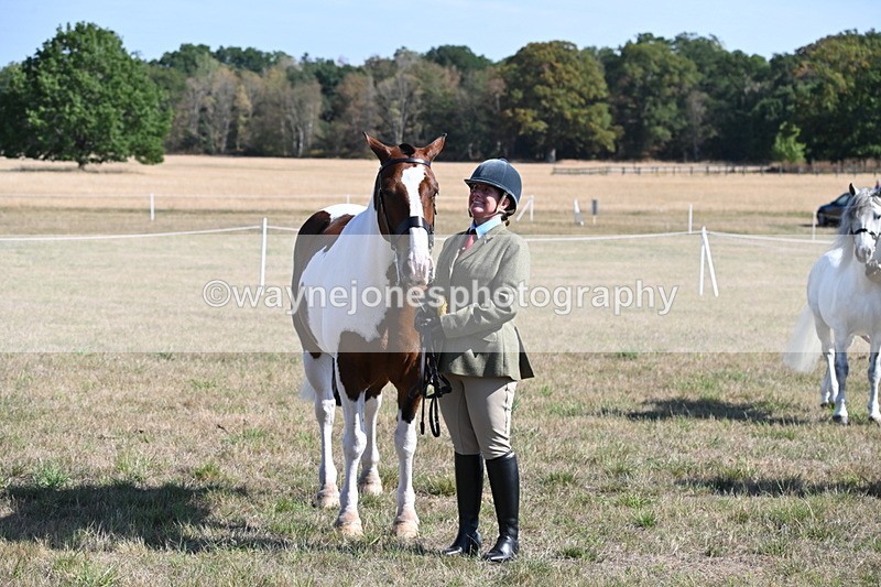 WJ6_4327 - Class 16 Condition & Turn Out