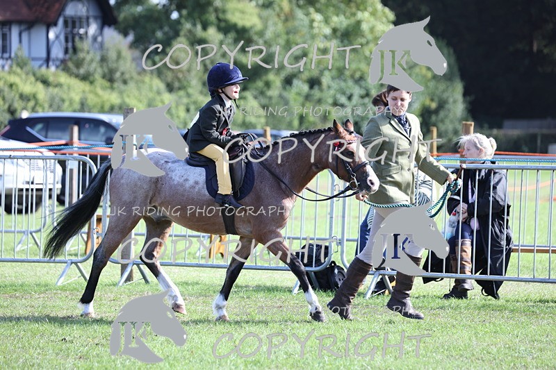 APP_3951 - Class 13 Lead rein