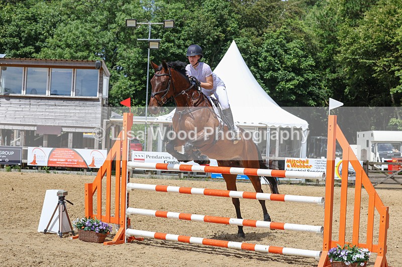 3E7A7380 - Class 8: Senior Newcomers/1.10m open