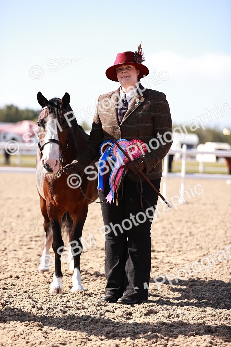 SBM_22733 - Class 704 - IH  Rescue
