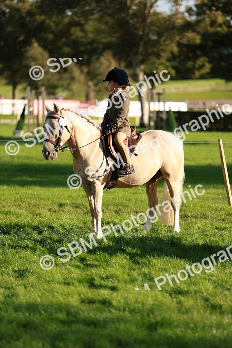 SBM_28763 - S7 - Novice & Newcomer Ridden Pony