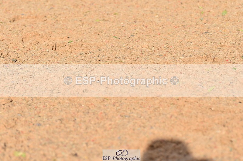 231104A-111348-01499 - Cls 5 Novice 37A