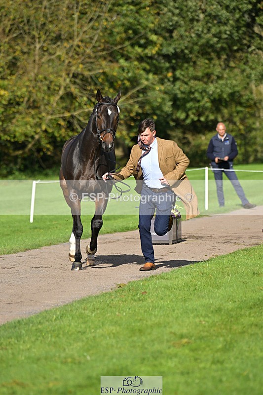 241023-130857-00095 - 005-Matthew.Heath-DIEGOS.ROSE