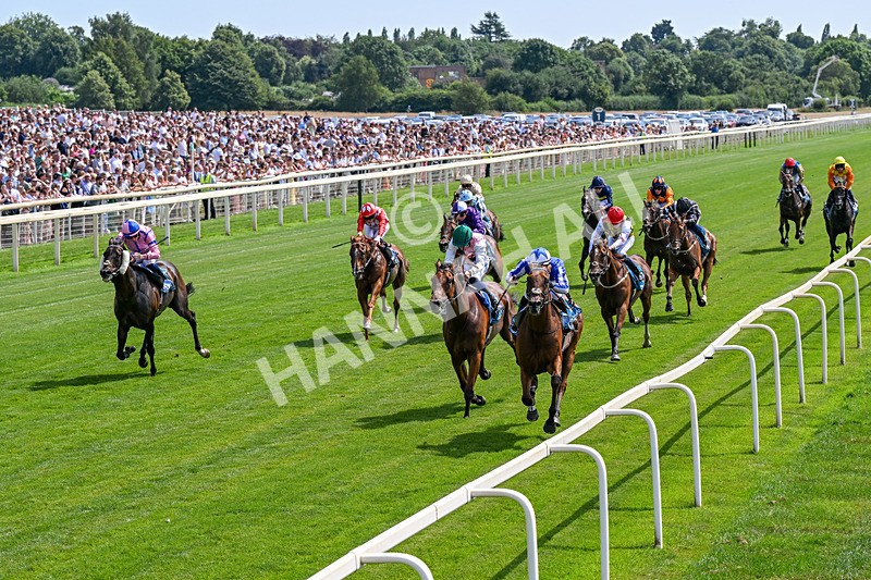 110726-Race 2-The Lost King-0128 - Race 2 14.39pm John Smith's Racing Handicap
