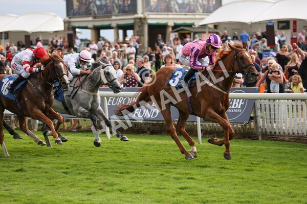 yr23072021r2-22 - Race 2 6.30pm IRE-Incentive It Pays To Buy Irish Stakes