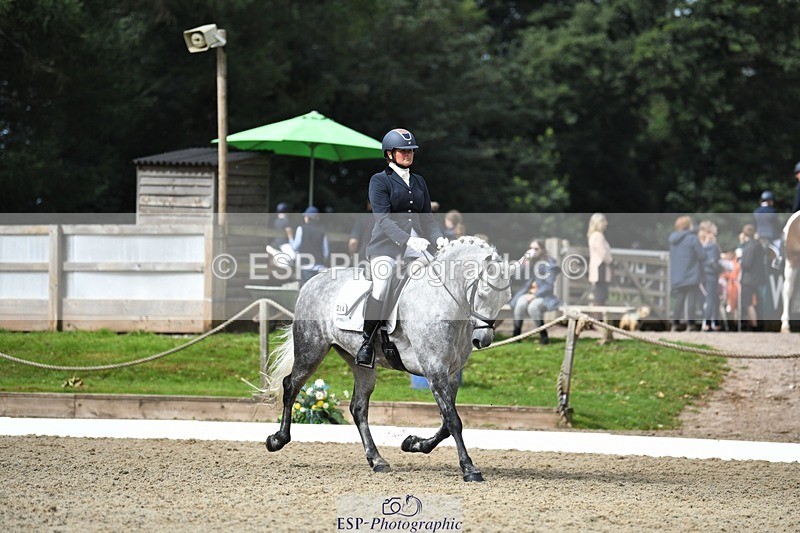 230812-103858-03417 - Cls 6 Novice Silver 10.30 to 11.55 break