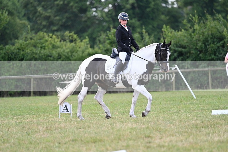 WJ7_5233 - Time 11:22 to 11:51