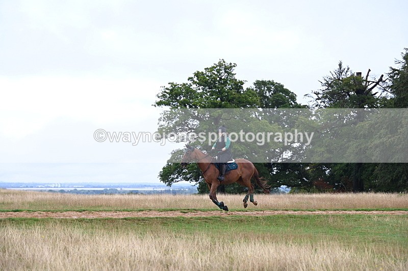 DSC_3739 - Time at Statue 13:51 to 14:55