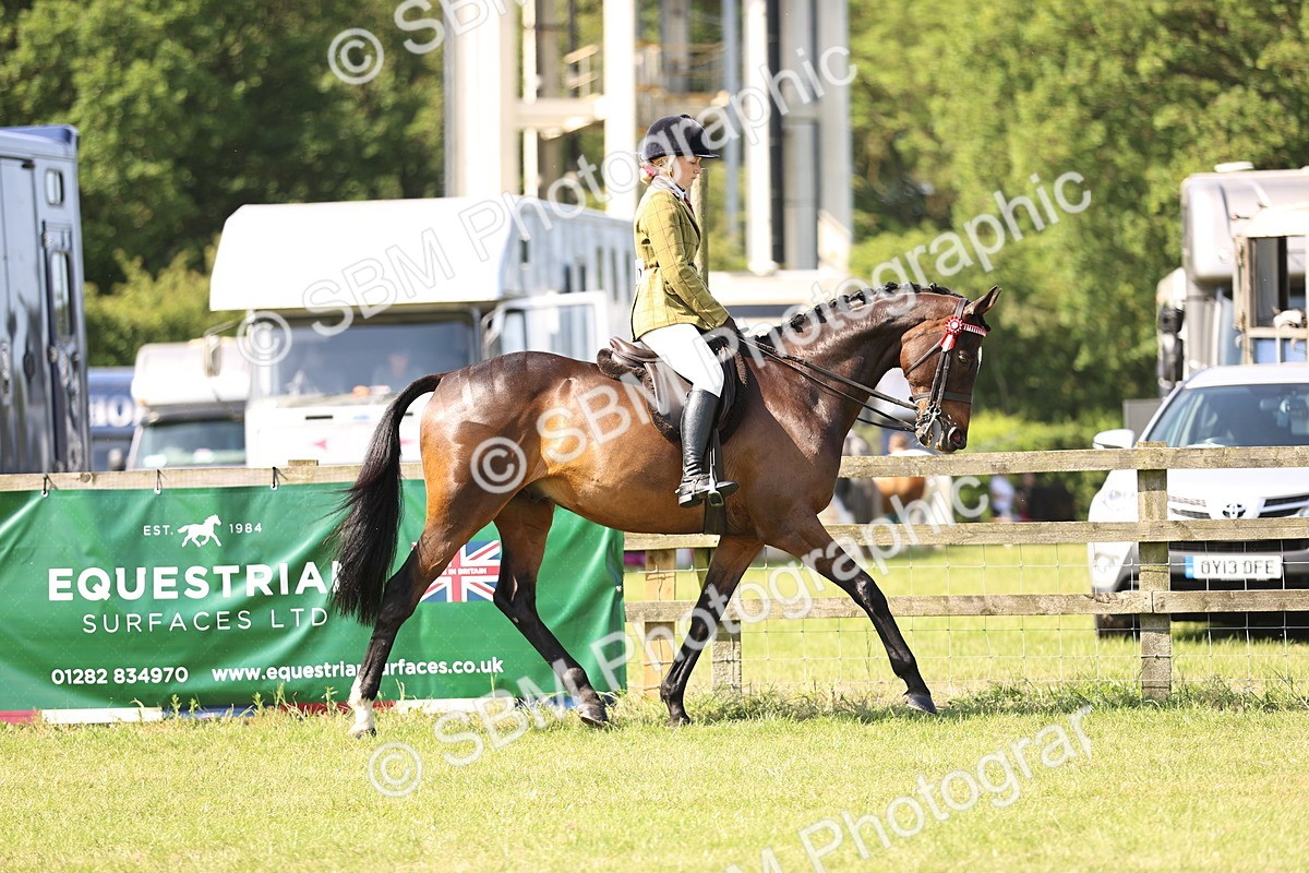 SBM_12964 - Class 75-76 LIHS BSHA Rising Star Hack Riding Horse