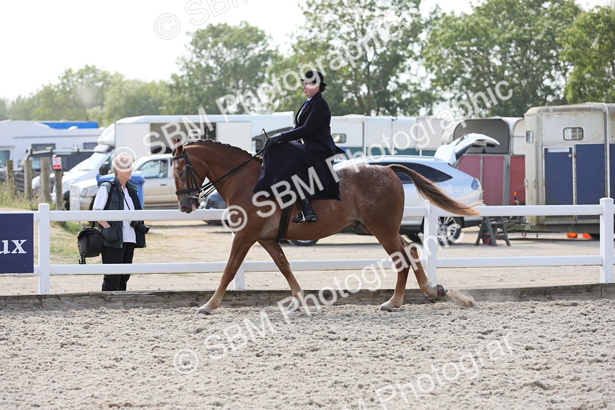SBM_14573 - Class 211 Best Side Saddle Horse/Pony