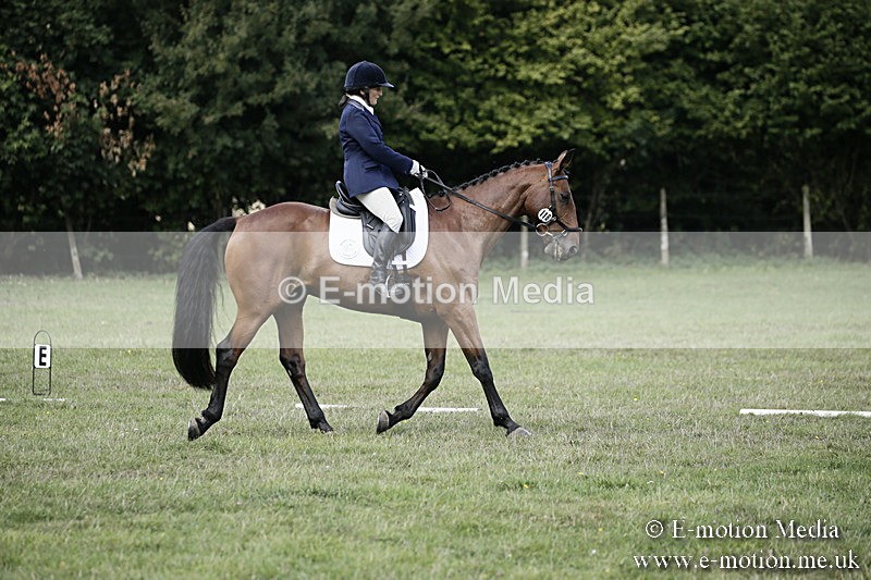 BVR090918 259 - BVRC Dressage and Show Jumping 09/09/18