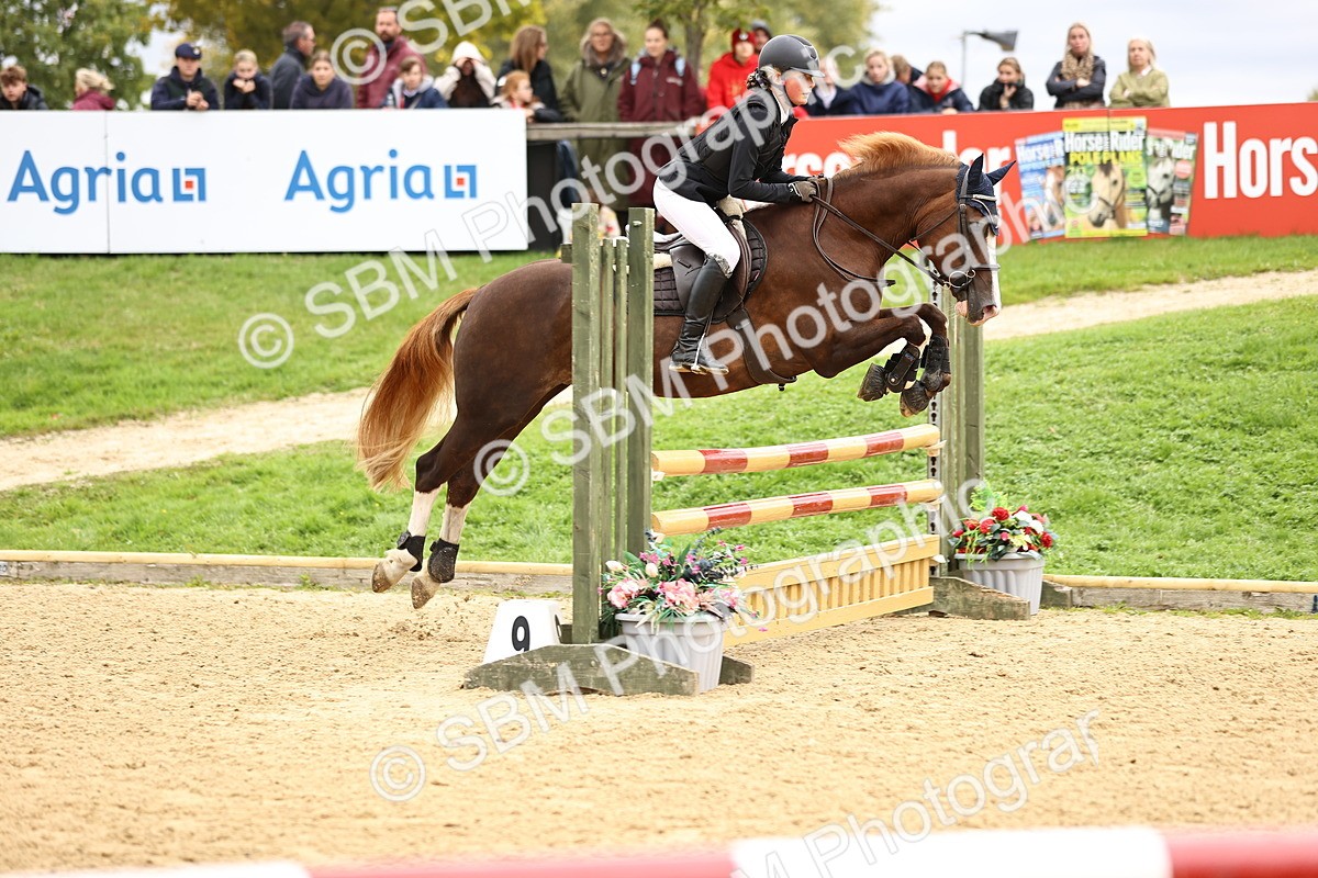 SBM_68688 - J18 - Junior Pony 85cm championship