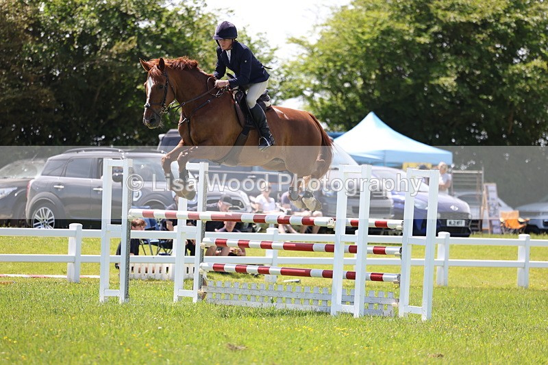 3E7A1273 - Class 12: Senior Foxhunter/1.20 open