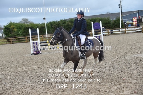 BPP_1243 - CLASS 4 Club/ Unaffiliated 80cms Open