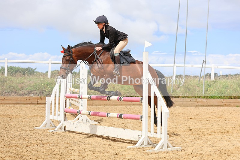 3E7A0060 - Class 9: Senior British Novice/90cm open