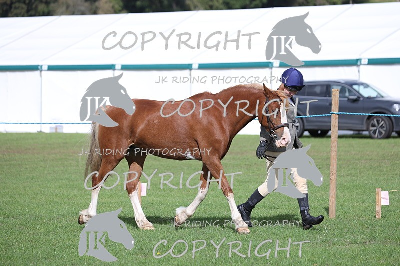 APP_2595 - Class 9 Veterans in hand