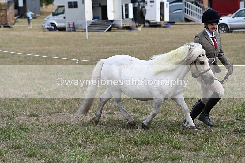 WJ6_5962 - Class 19 In-hand Veterans (Uploaded correct folder)