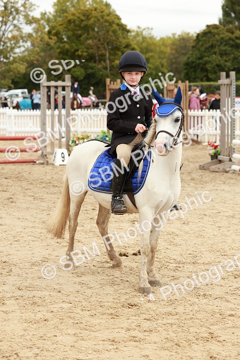SBM_65336 - Supreme Championship 50cm & 55cm
