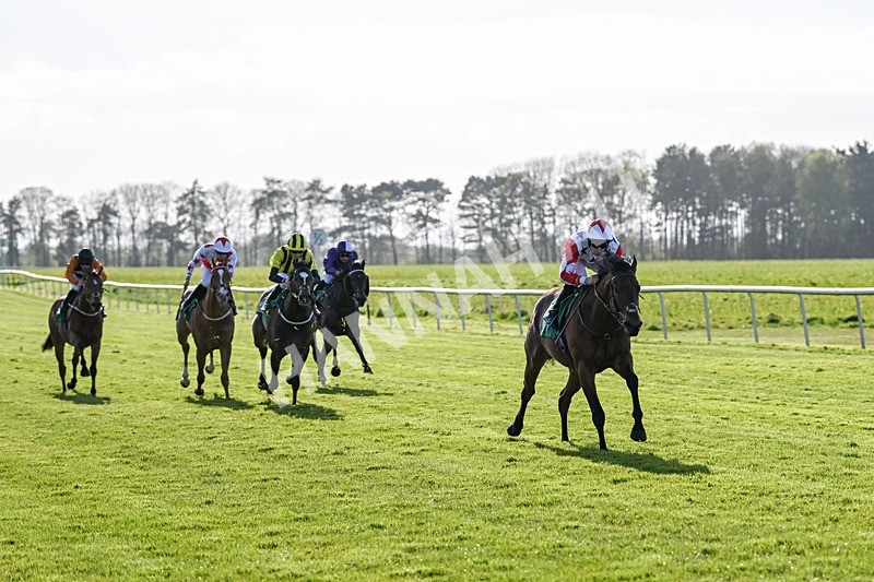 200424-Race 4-Shartash-6654 - Race 4