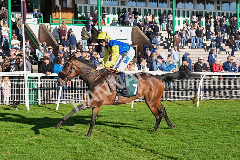 291024-Race 3-Kings Scholar-5941 - Race 3