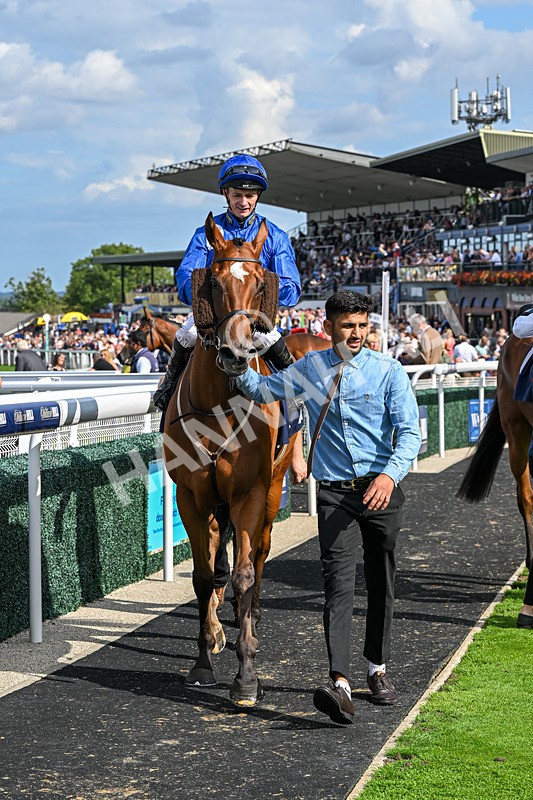 300826-Race 4-Financer-0585 - Race 4 3.20pm Ward Homes Yorkshire Handicap