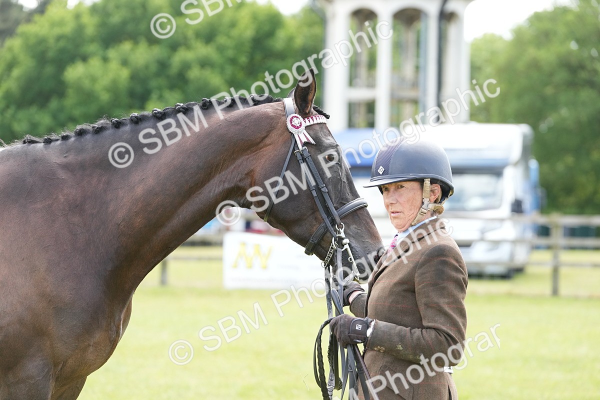 SBM_16256 - Class 105-106 - RIHS Riding Horses