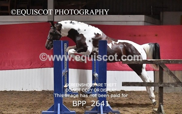 BPP_2641 - LOOSE JUMPING / SPSS