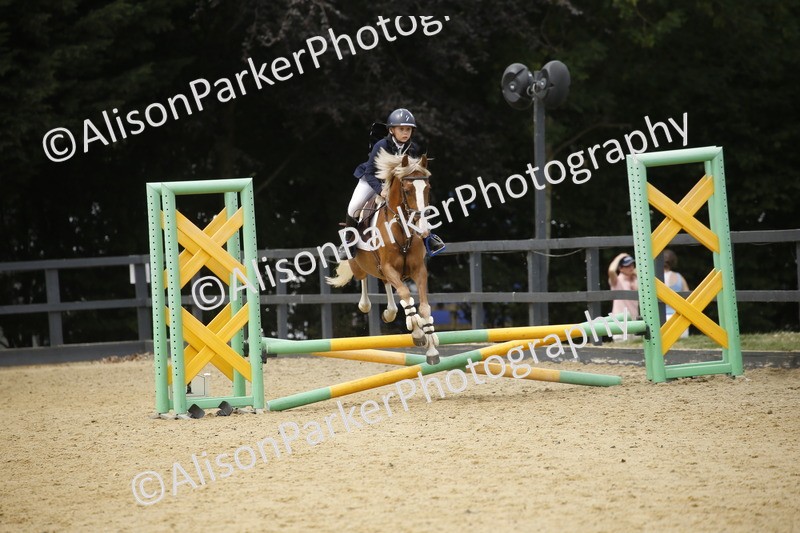 20250622-5924 - 60cm